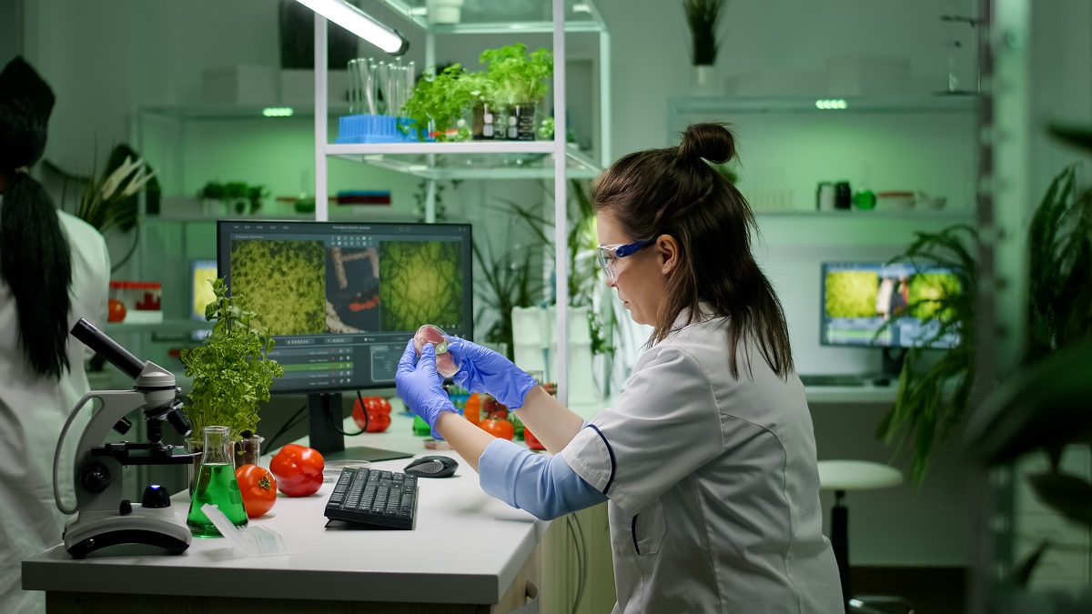 FoodTech проект студента Президентской академии получил миллион рублей в конкурсе стартапов