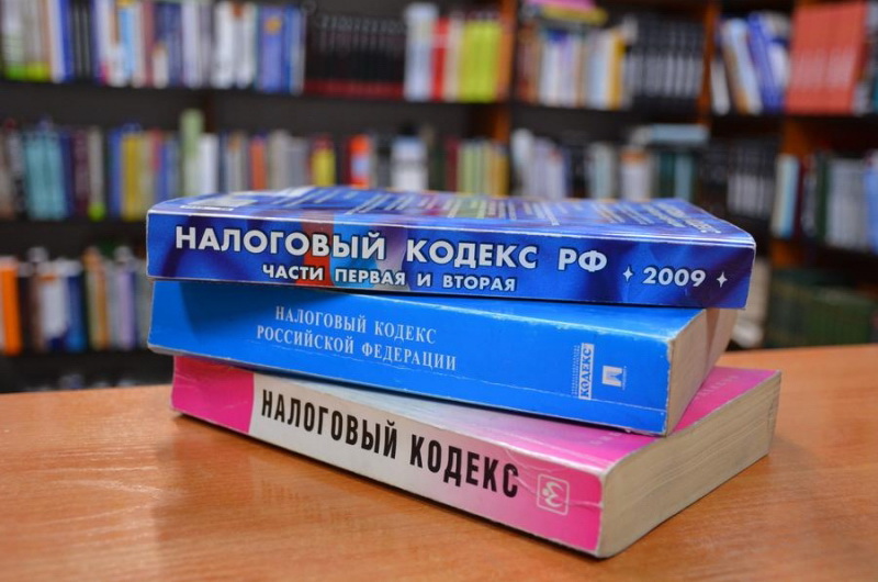 Снегирева Н.В.: формирование справедливой налоговой системы России