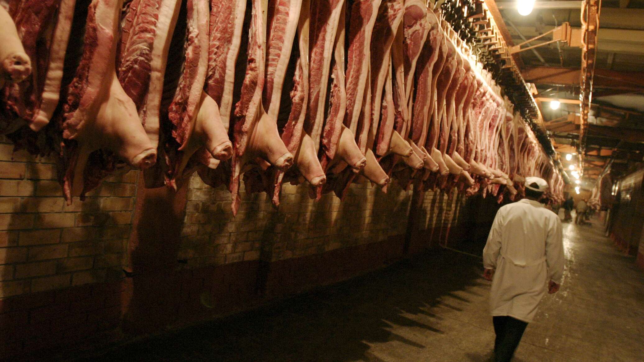 Карамышева Д.Б.: Россия вошла в четверку крупнейших производителей мяса