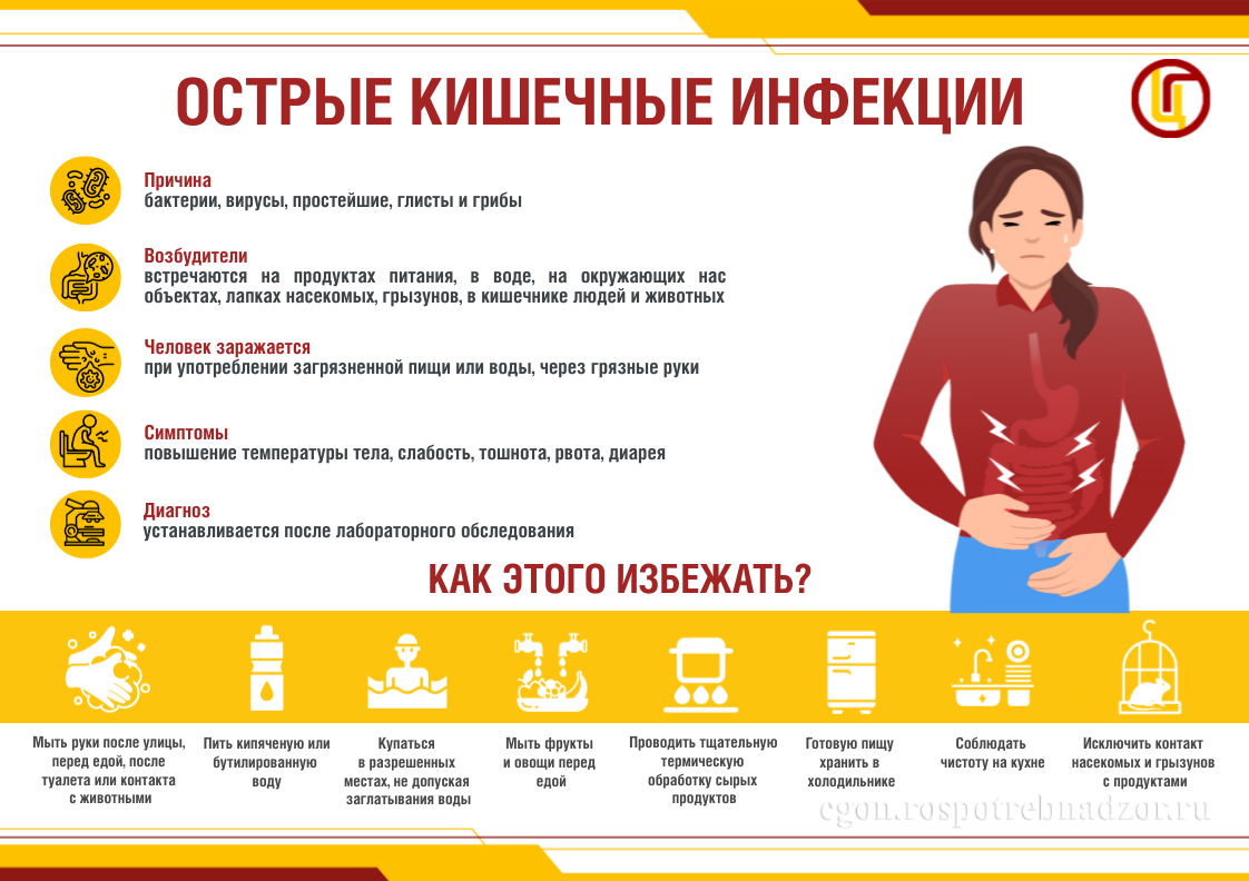 Памятка для предприятий общественного питания по профилактике сальмонеллеза