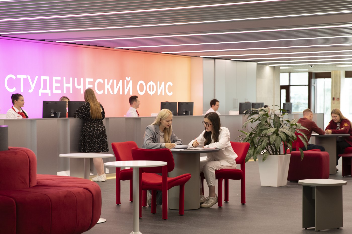 Социальная стипендия для студентов 2025 – кому положена и как получить