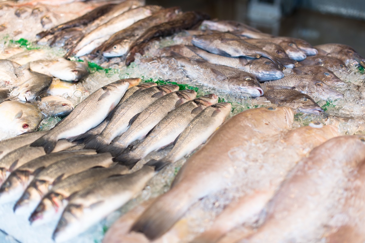 От сырья к ценному продукту: модернизация рыбной отрасли приносит России значительную экспортную выручку