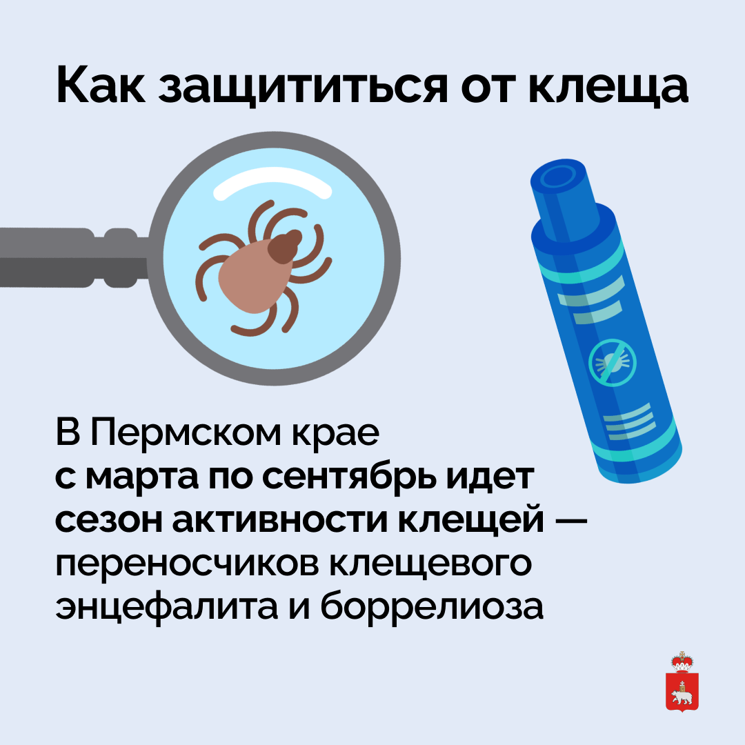 Профилактика от клещей