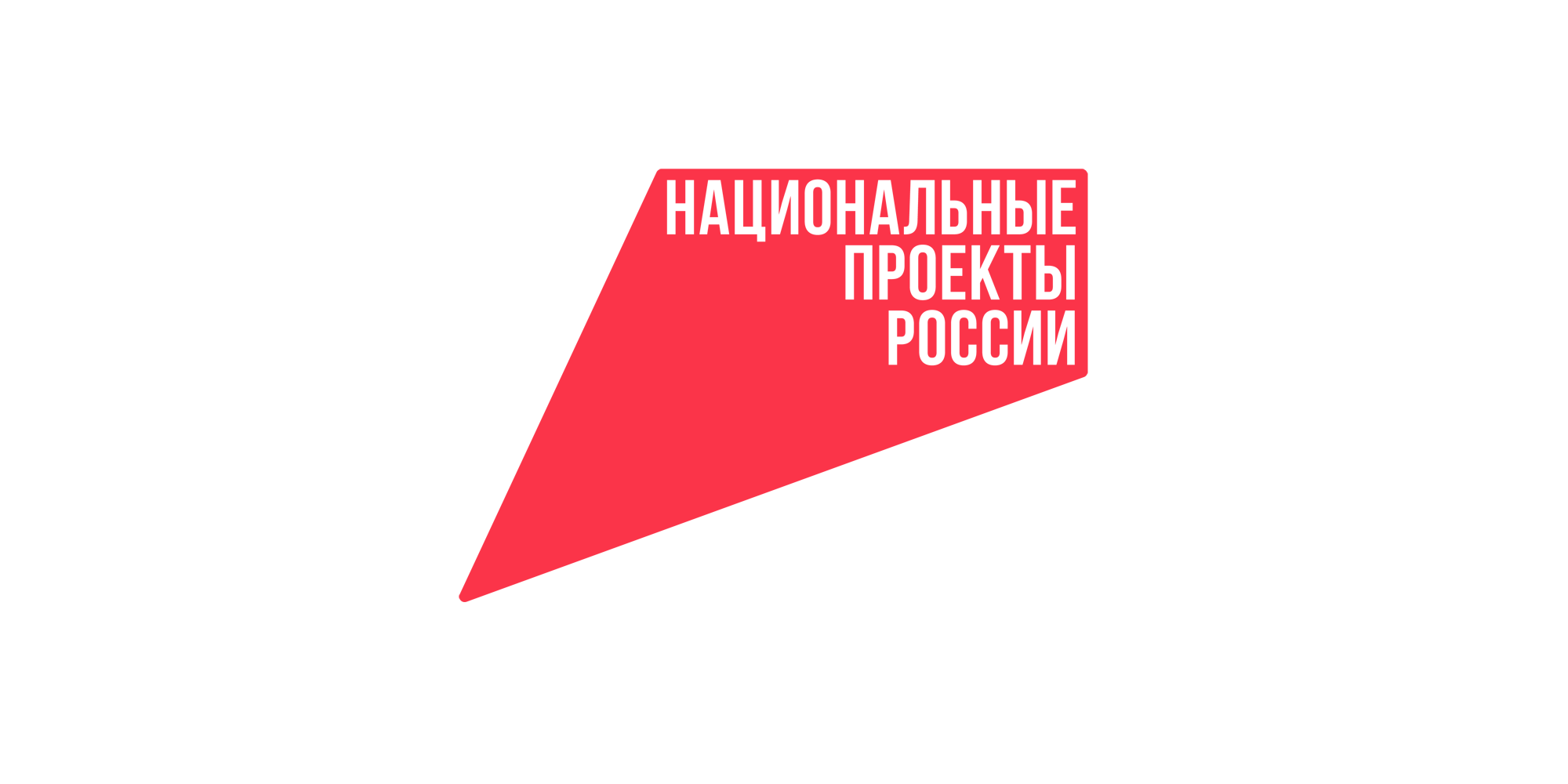 Национальные проекты России